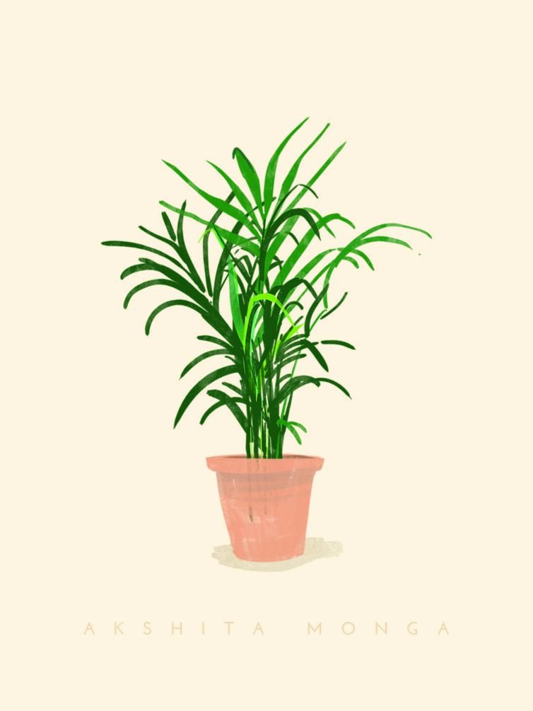 Plant Nick