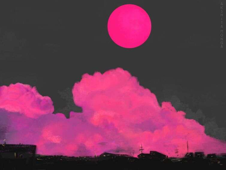 Pink Moon