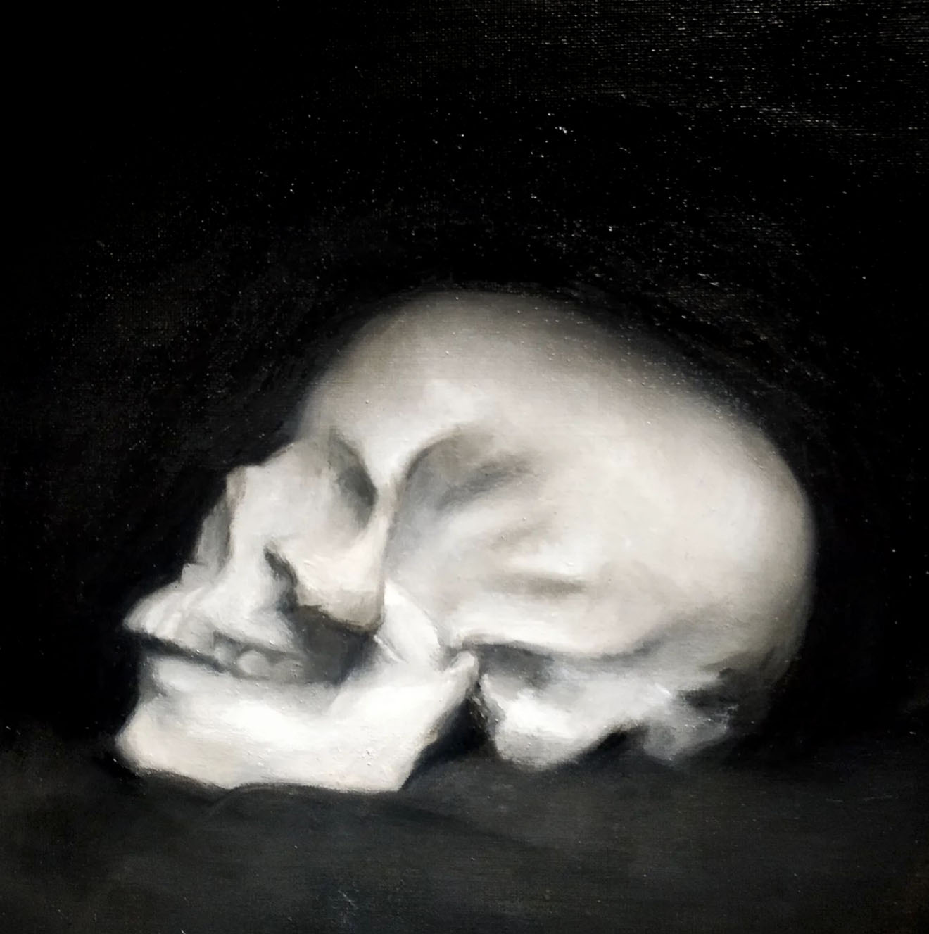 Skull Study in Grisaille