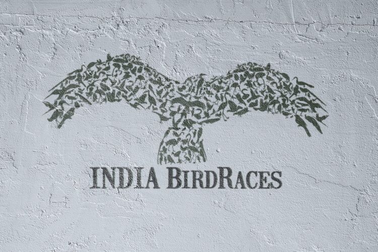 India BirdRaces